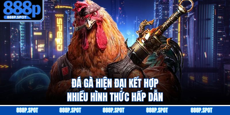 Đá gà hiện đại kết hợp nhiều hình thức hấp dẫn