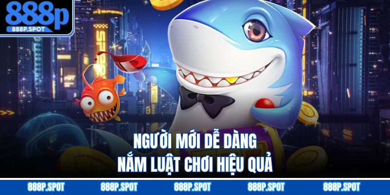 Người mới dễ dàng nắm luật chơi hiệu quả